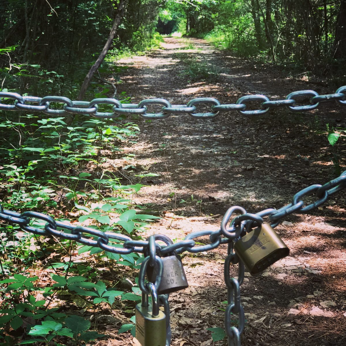 Woodstock, Alabama, or New York City, Every Town Is Someone's STown